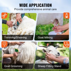 Metallinen säädettävä vuohien ja lampaiden hoitoteline korkeus 238–325 mm kuonolenkillä