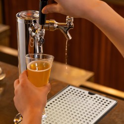 Tippakaukalo 304-ruostumattomasta teräksestä 300 x 177 mm irrotettavalla kannella 4 liukuestekumityynyä