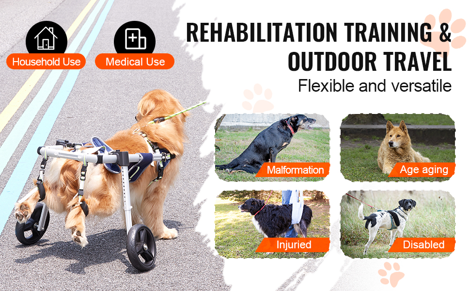 Pyörätuoli tukemassa koiran ulkoilua ja kuntoutusta