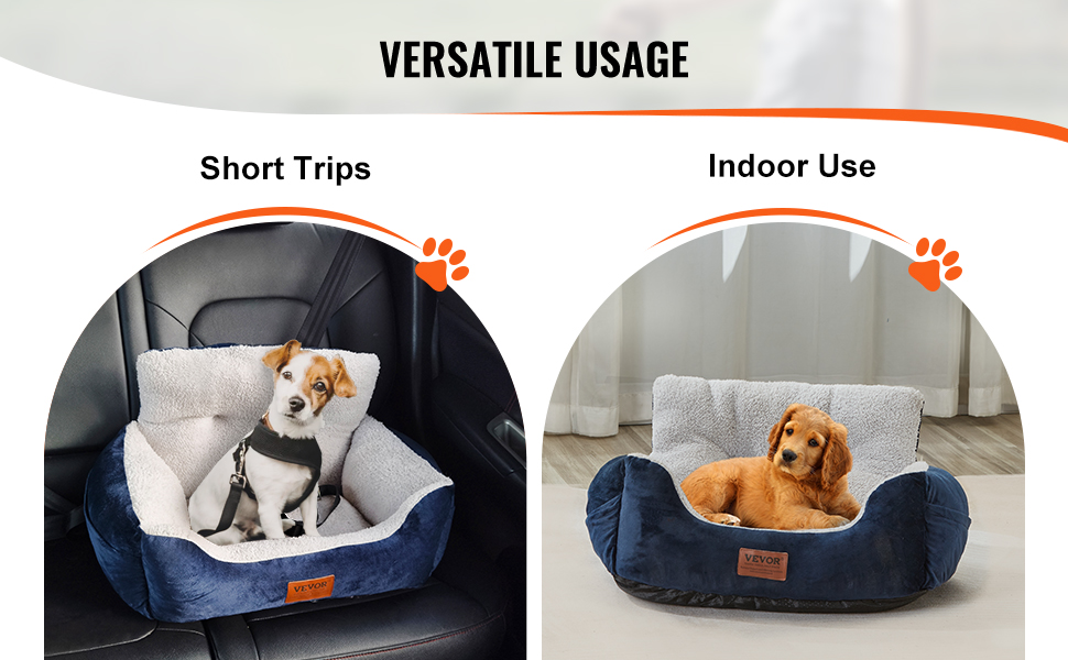 Koiran autovuode ja sisäkäyttö