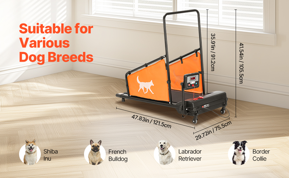 Koirien juoksumatto, juoksupinta