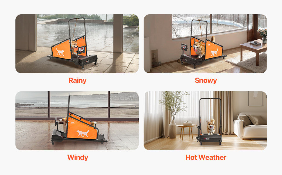Koirien juoksumatto sisäkäyttöön