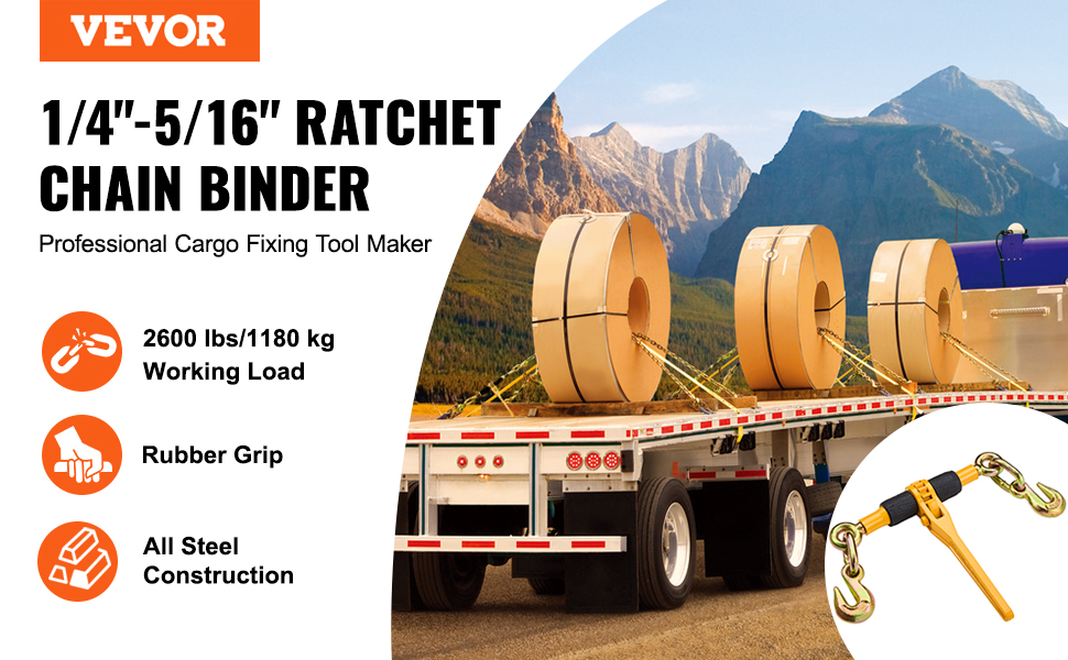 Räikkäketjunkiristin yleiskuva