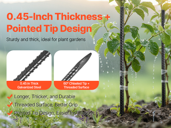 Lähikuva kärjestä ja pinnasta