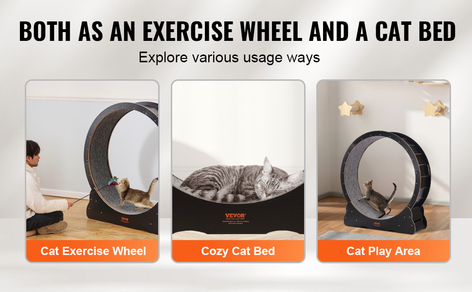 Juoksupyörä myös mukavana kissan lepopaikkana