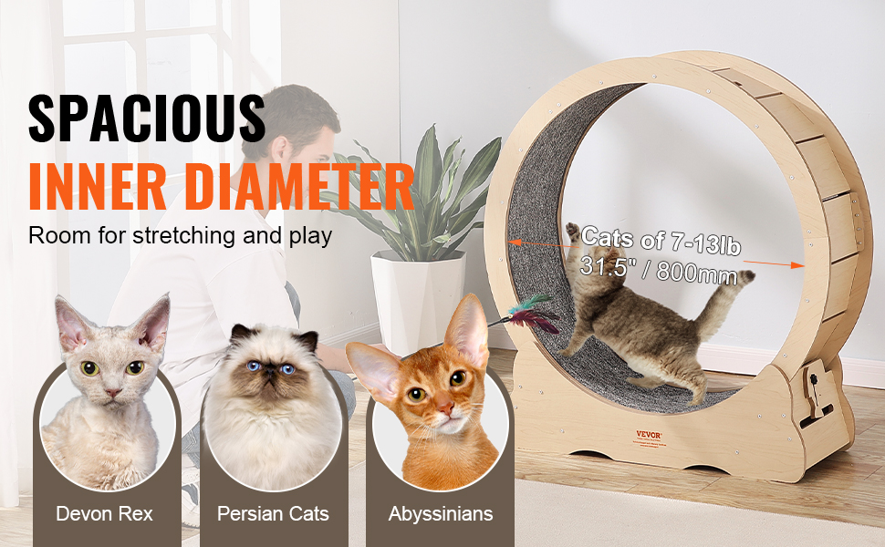 Kissan juoksupyörä – tilava sisähalkaisija