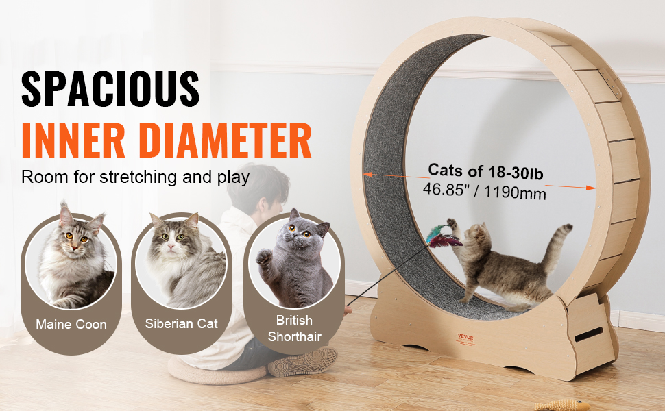 Kissan juoksupyörä tilavalla sisähalkaisijalla