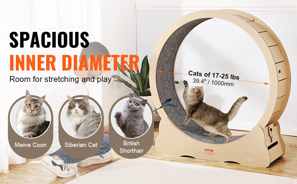 Suuri sisähalkaisija kissoille