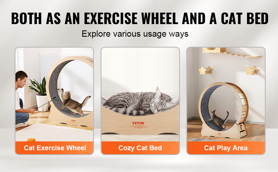 Kissan juoksupyörä lepopaikkana