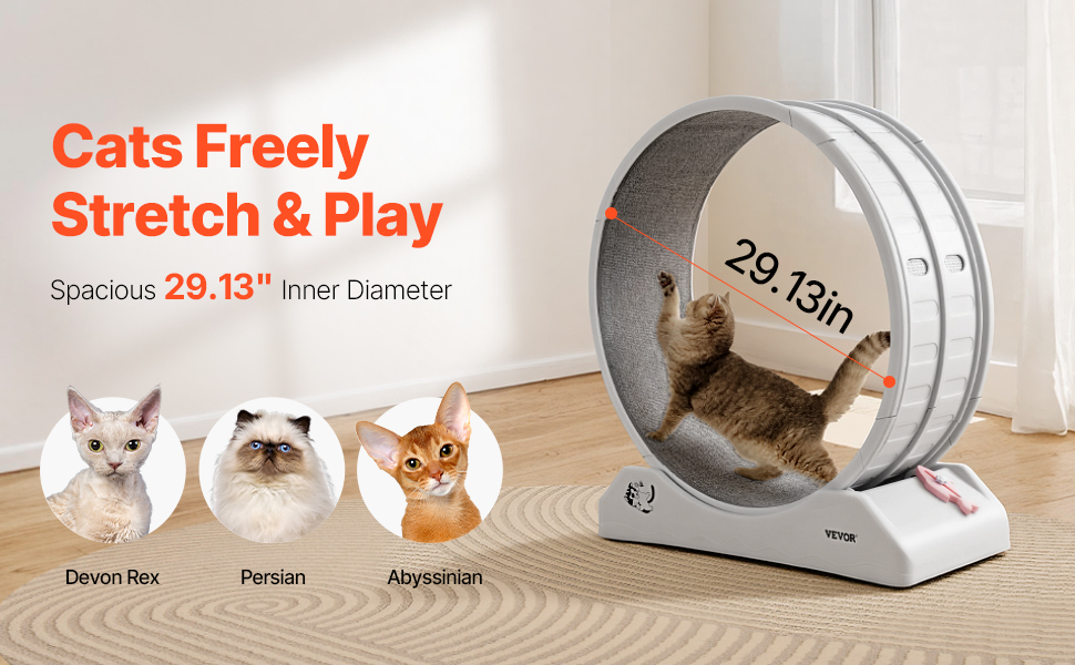 Tilava juoksupyörä kissalle