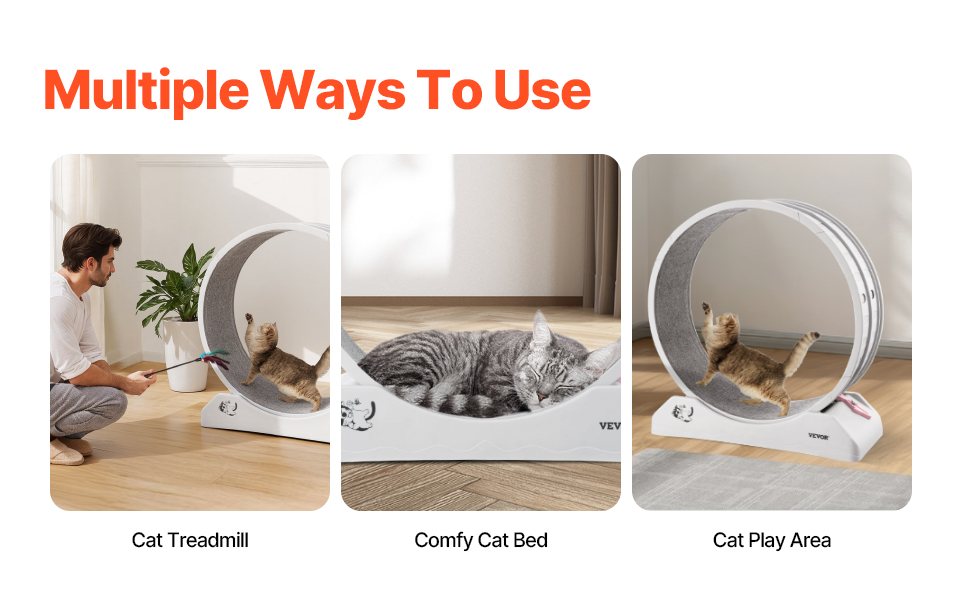 Kissan juoksupyörä ja lepopaikka