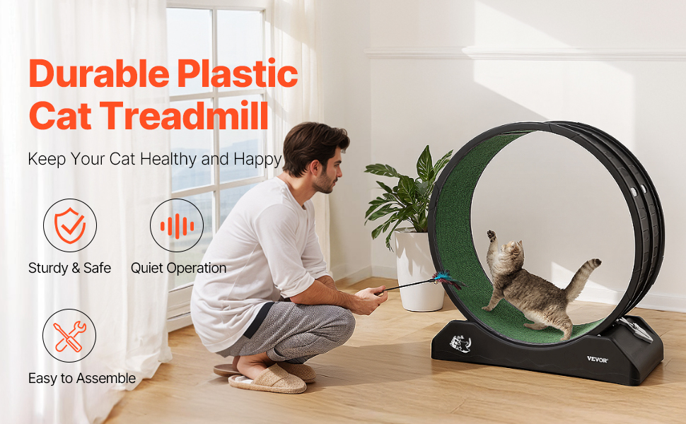 Kissojen juoksupyörä, yleiskuva