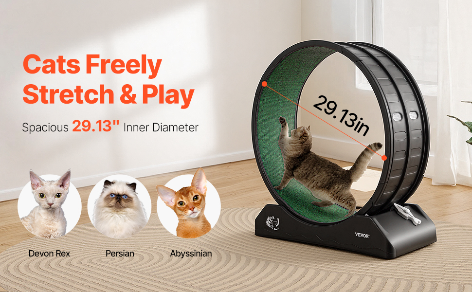 Kissojen juoksupyörä, tilava sisähalkaisija