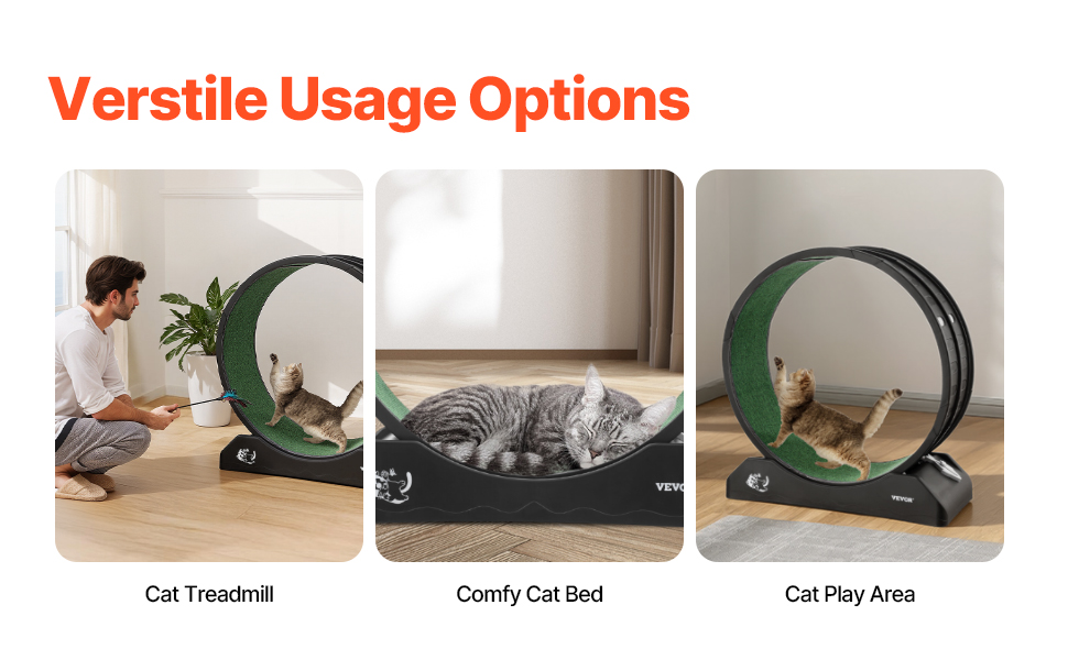 Kissojen juoksupyörä, lepopaikaksi muutettuna