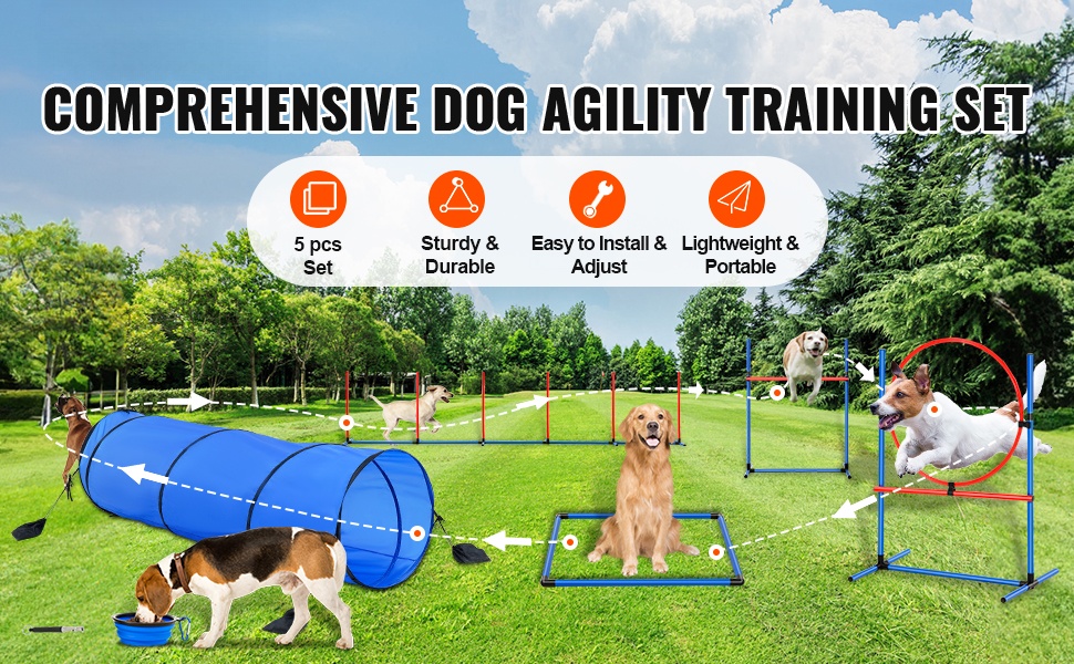 Koiran agility-setti yleiskuva