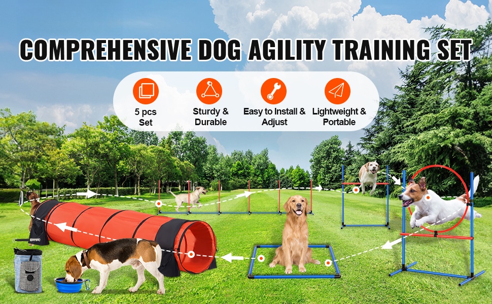 Koiran agility-setti yleiskuva