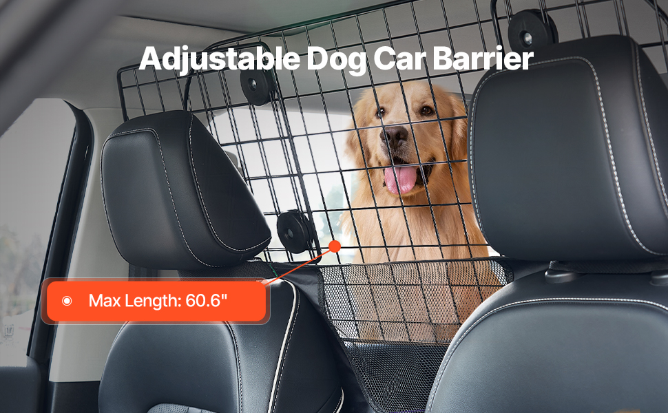 Koiraverkko autoon, yleiskuva