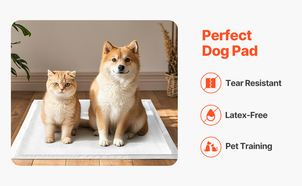 Sopii lemmikkien koulutusalustaksi