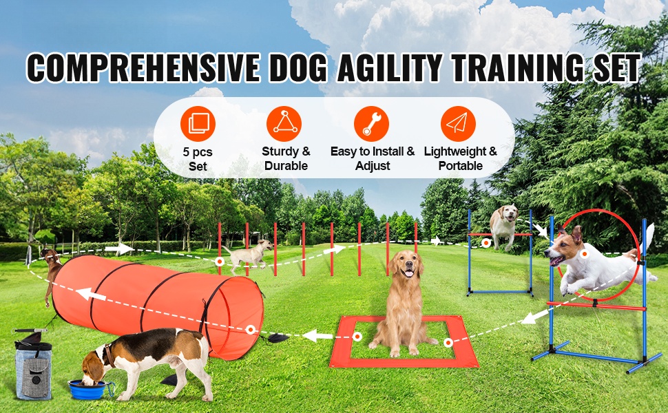 Koiran agility-setti yleiskuva