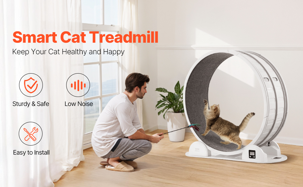 Kissan juoksupyörä, yleiskuva