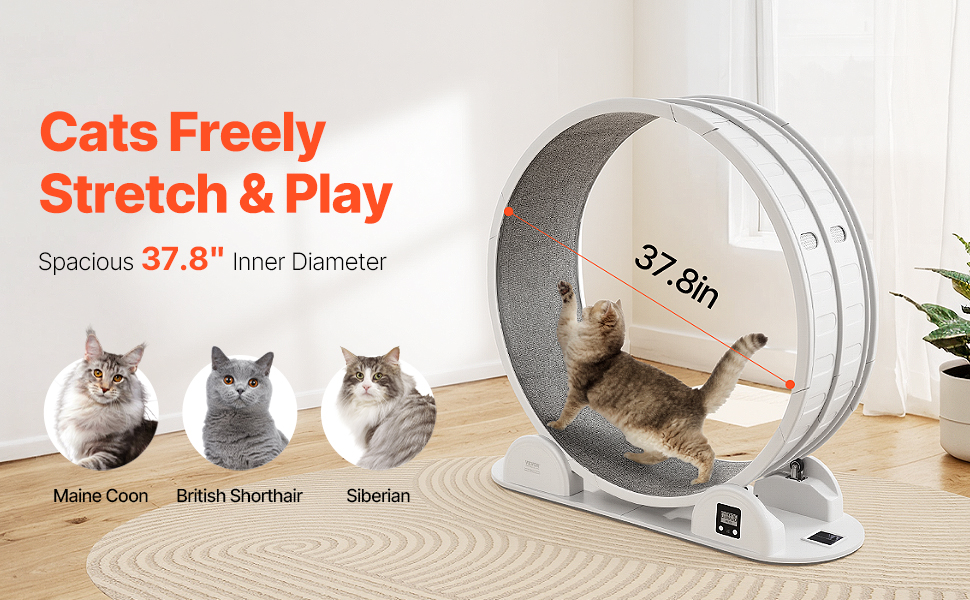 Kissan juoksupyörä, tilava sisäosa