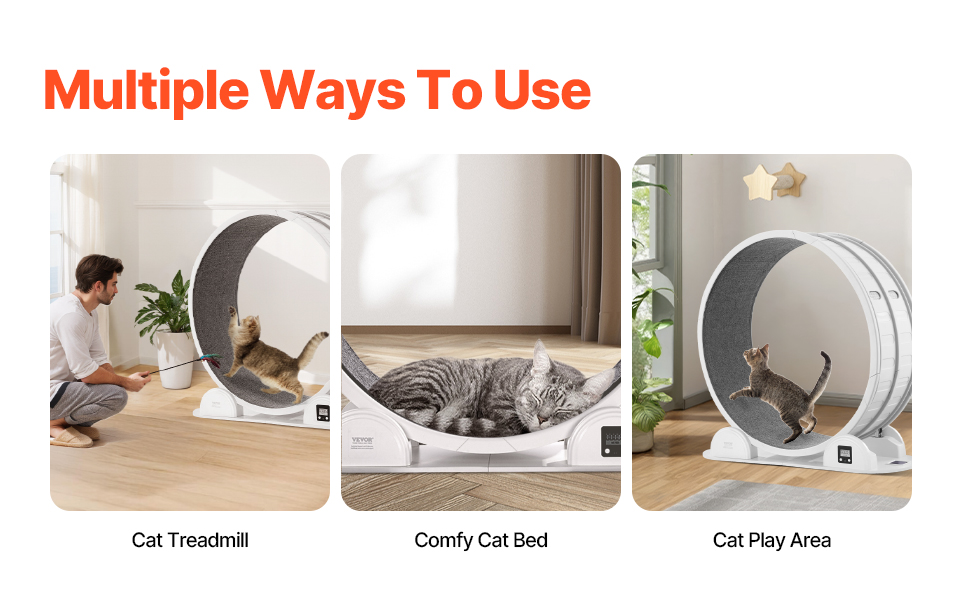 Kissan juoksupyörä, lepopaikkakäyttö