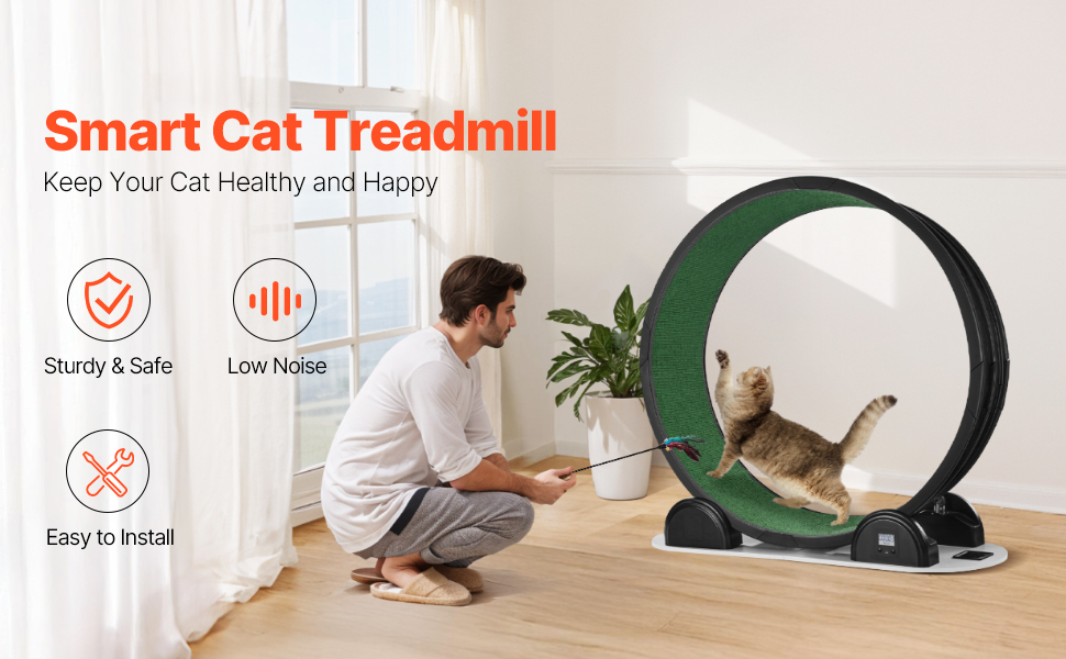 Kissan juoksupyörä, yleisnäkymä