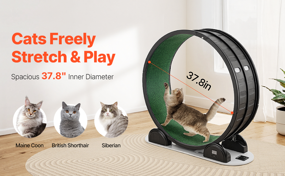 Tilava sisähalkaisija kissoille