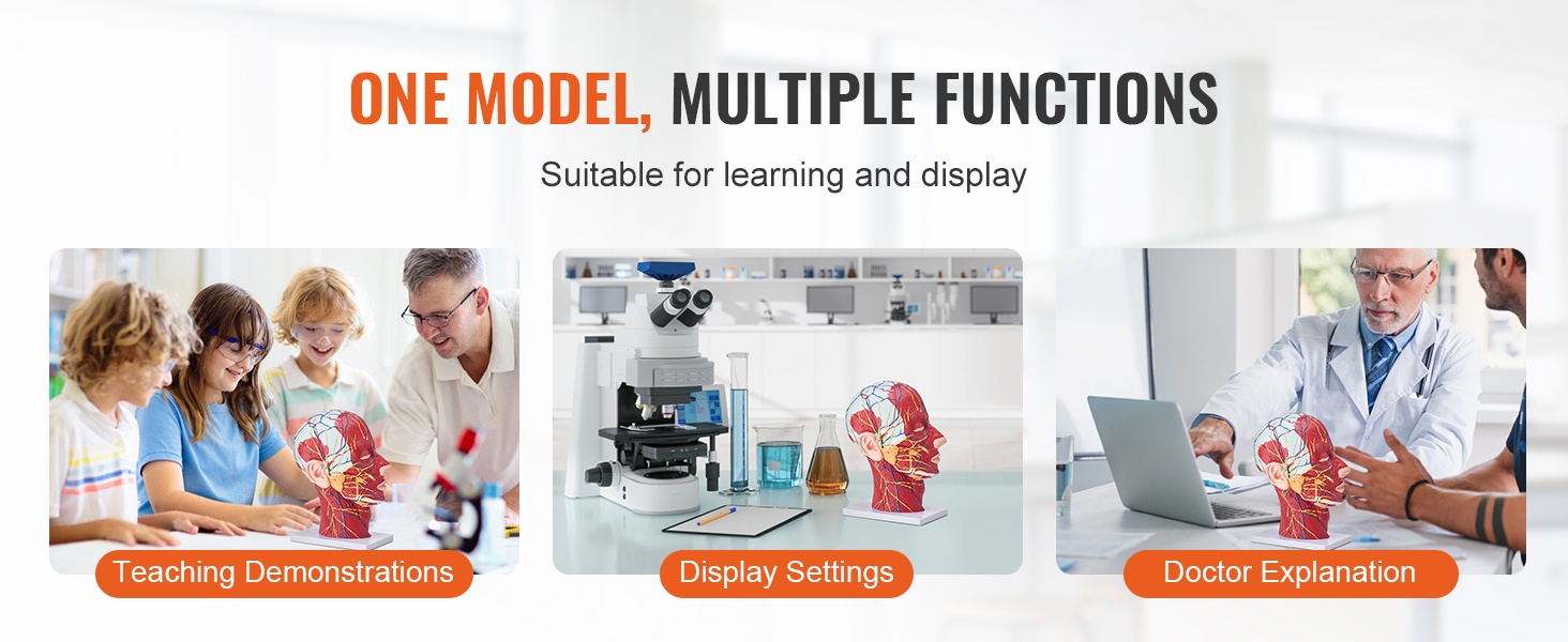 Torsomalli luokkahuoneessa