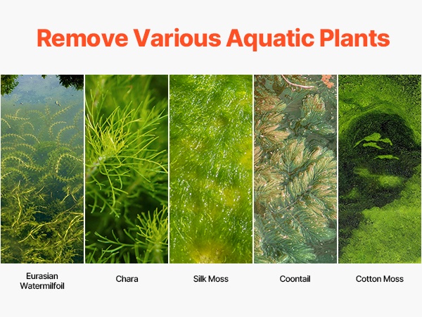 Puhdistettu lampi ja järvi