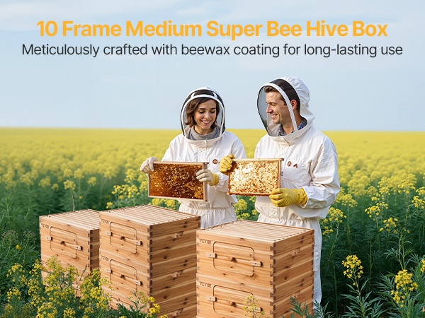 Mehiläispesä sivuprofiili