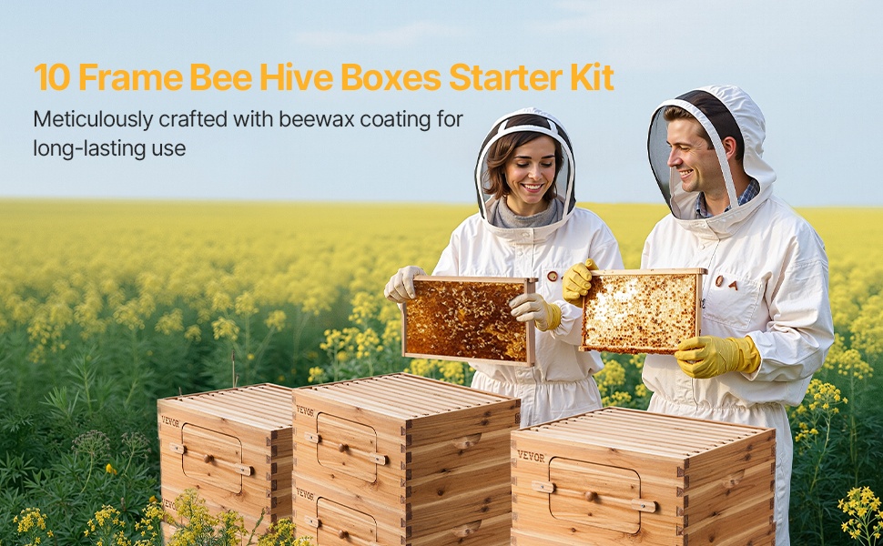 Mehiläispesä kuusipuusta