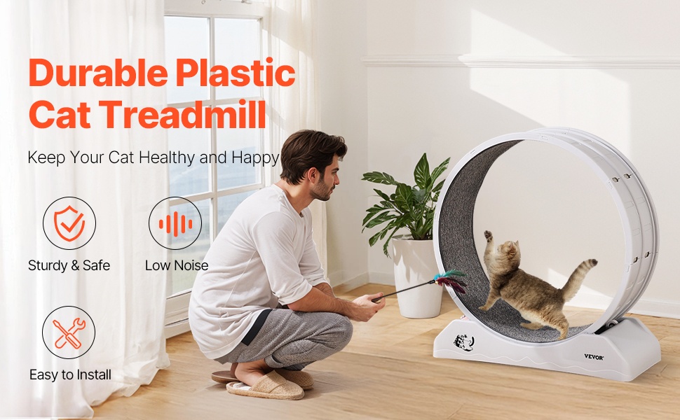 Kissan juoksupyörä, yleiskuva