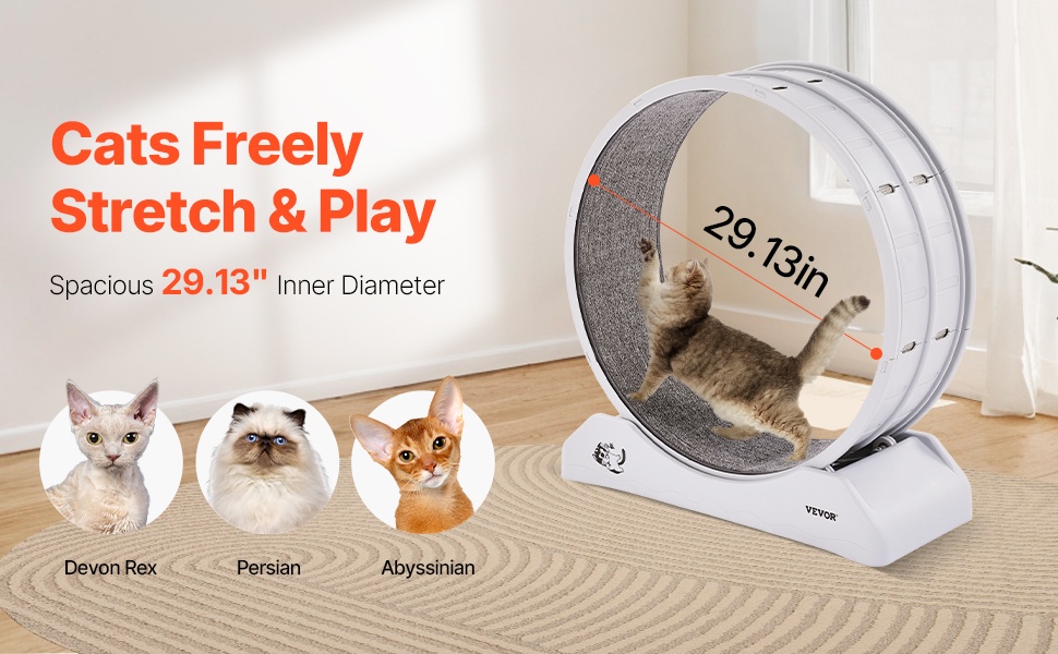 Kissan juoksupyörä, tilava sisäosa