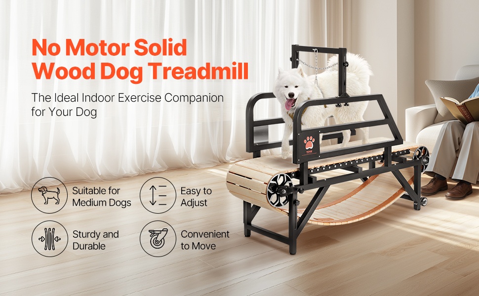 Koirien juoksumatto yleiskuva