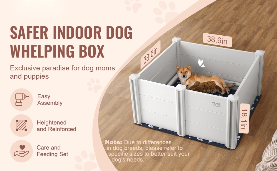 Koiran pentulaatikko, yleisnäkymä