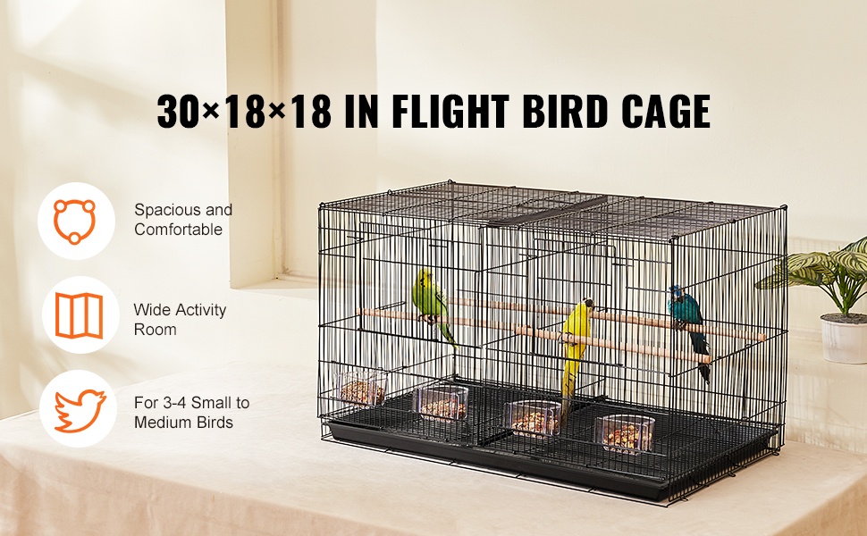 Lintuhäkki yleiskuva