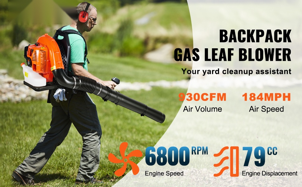 Reppulehtipuhallin yleiskuva