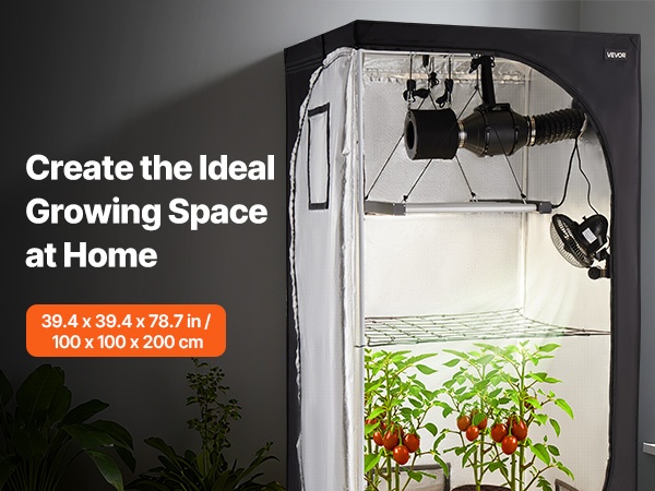 Sisäkasviteltta yksityiskohta