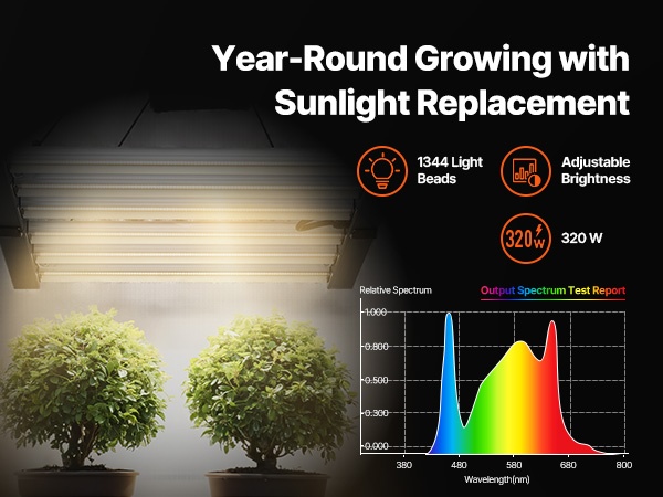 Kasvien valaistus teltassa