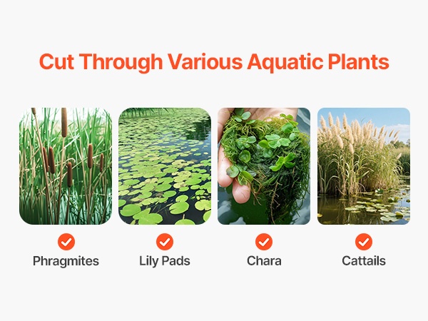 Harava ja leikkuri järviruo’olle ja ulpukoille