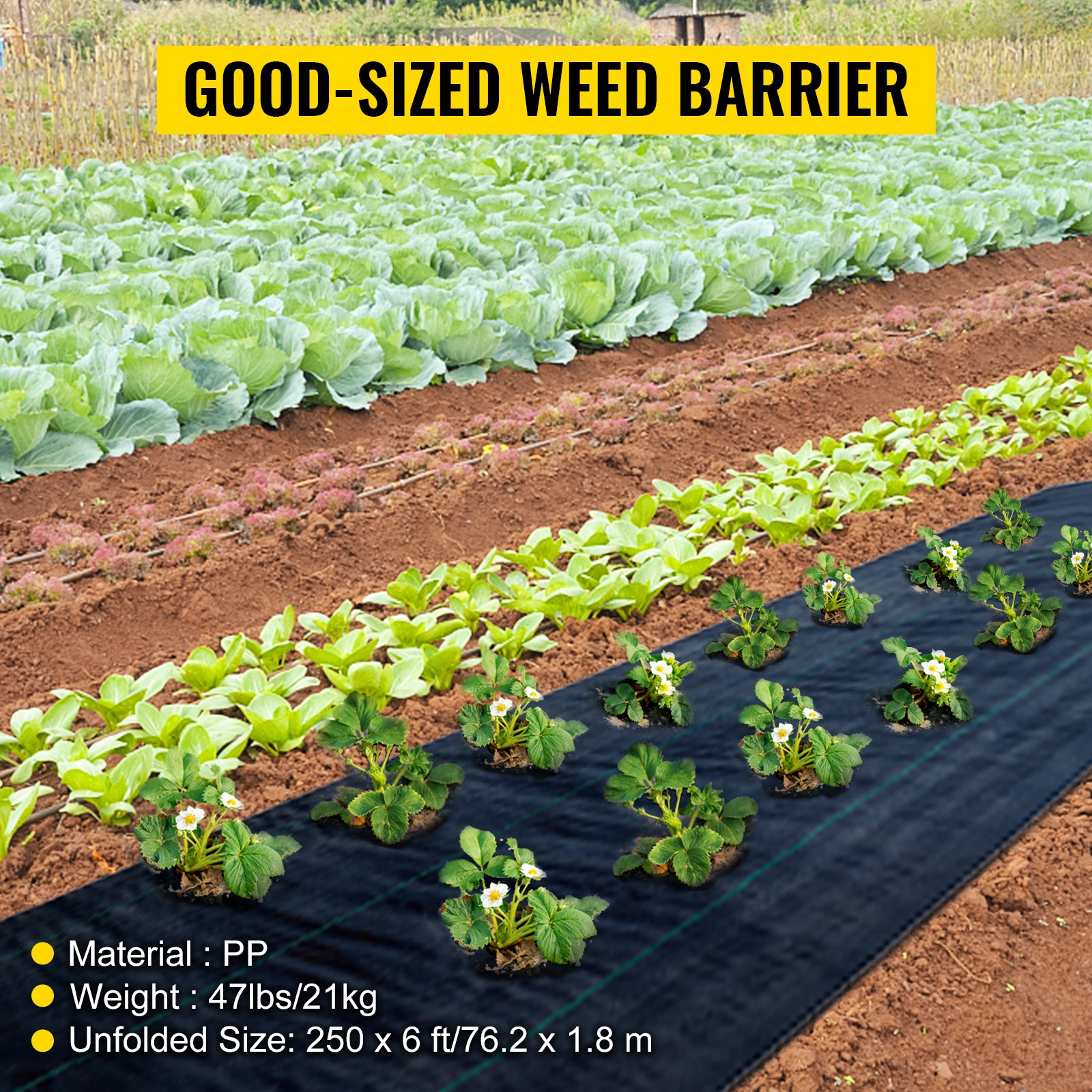 Suuri rikkaruohosuoja