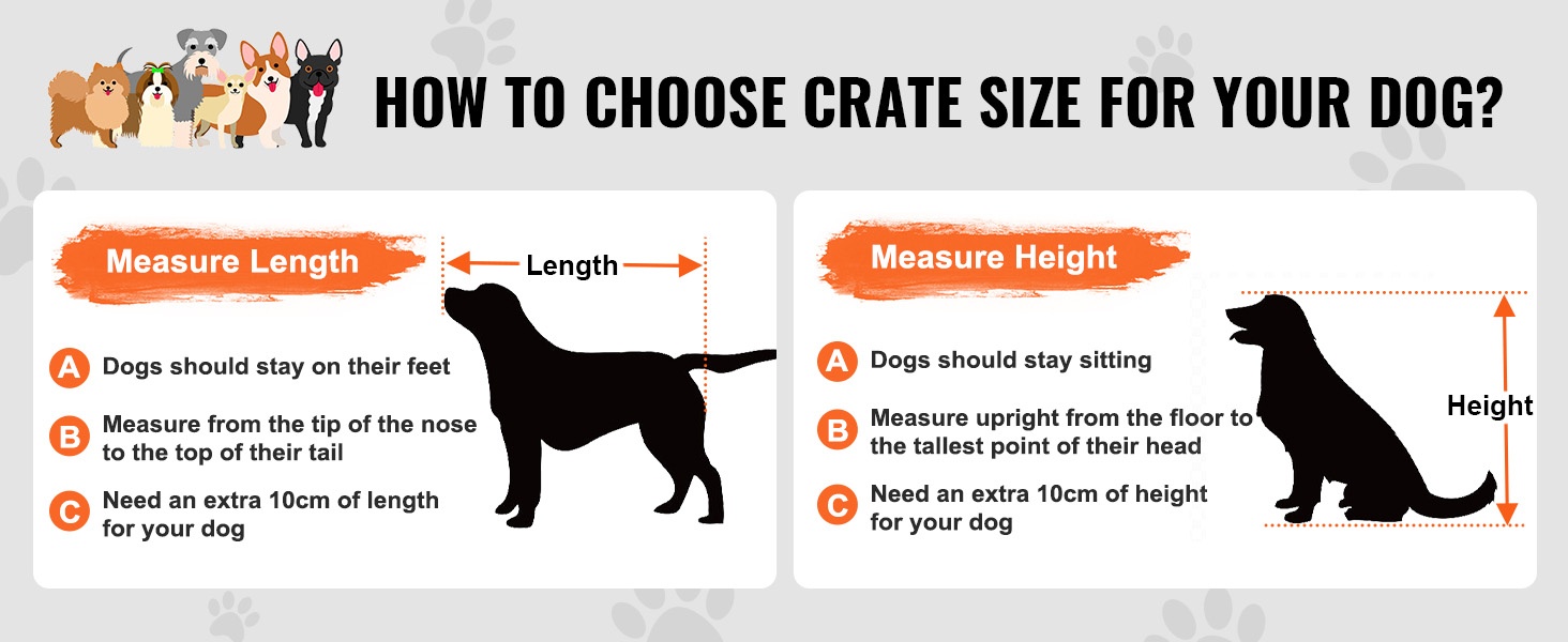 Koon mittausohje koiralle
