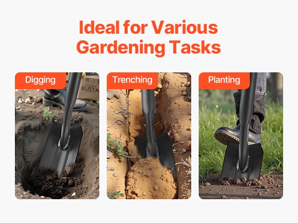 Lapio reunojen siistimiseen ja lumen poistoon