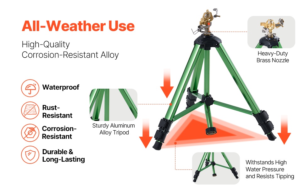 Messinkinen ruiskupää ja tukeva runko